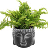 Small Buddha Plant Pot