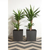 Mocha Chisel Plant Pot