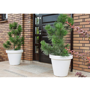 Cream Chisel Plant Pot