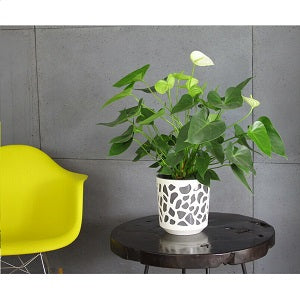 Cream and Anthracite Duet Plant Pot