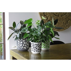 Anthracite and Cream Duet Plant Pot