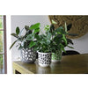 Cream and Anthracite Duet Plant Pot