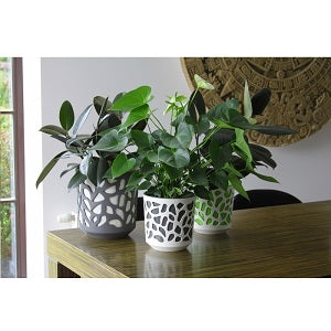 Cream and Taupe Duet Plant Pot
