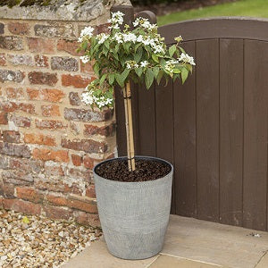 Ebony Grey Plant Pot