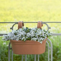 Terracotta Hanging Planter