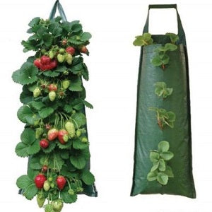 Fabric Hanging Grow Bag