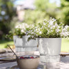 7.6 Litre White Plant Pot