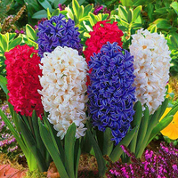 Freestanding Wicker Spade Planter with Bulb