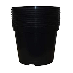 Pack of 10 Black Nursery Pot
