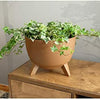 Eco Brown Bowl with Legs