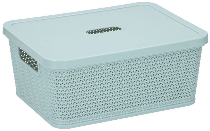 Mini Green Plastic Storage Box with Lid