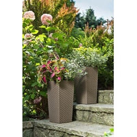 Cream Rattan Tall Plant Pot