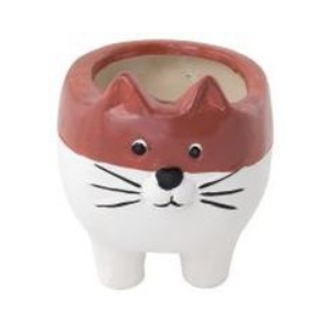 Terracotta Cat Pot