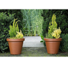 37 Litre Terracotta Chisel Plant Pot