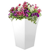 White Tall Plant Pots