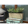 White Chisel Trough