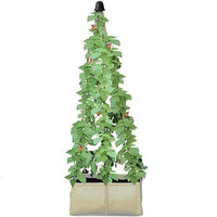 Jute Pea Runner Bean Grow Bag