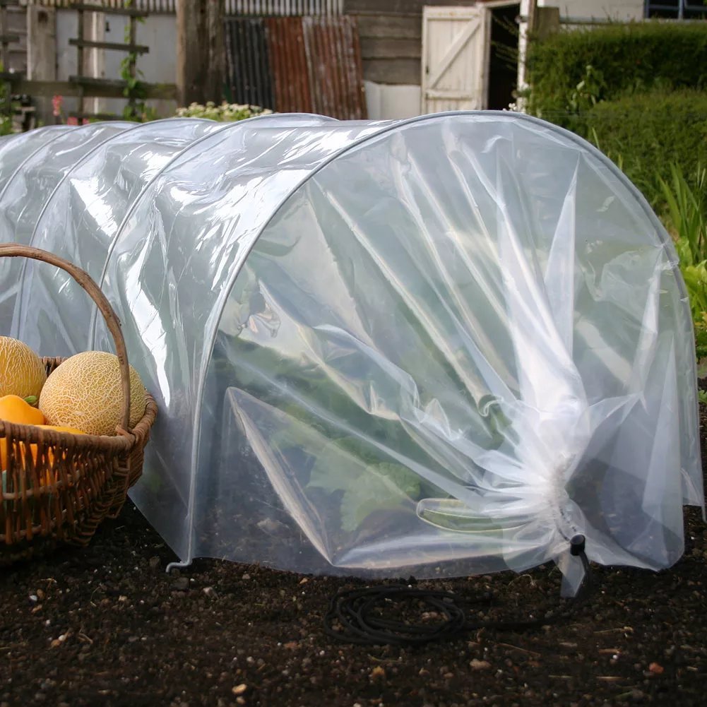 plastic cloches for garden plants 3M POLY LARGE Garden Cloche Tunnel Long Grow Plant Cover Protection – Muddy Hands