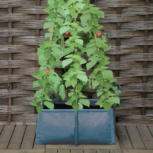 Pea Runner Bean Tomato Grow Bag Planter Garden Growbag Plant Pot Support Frame